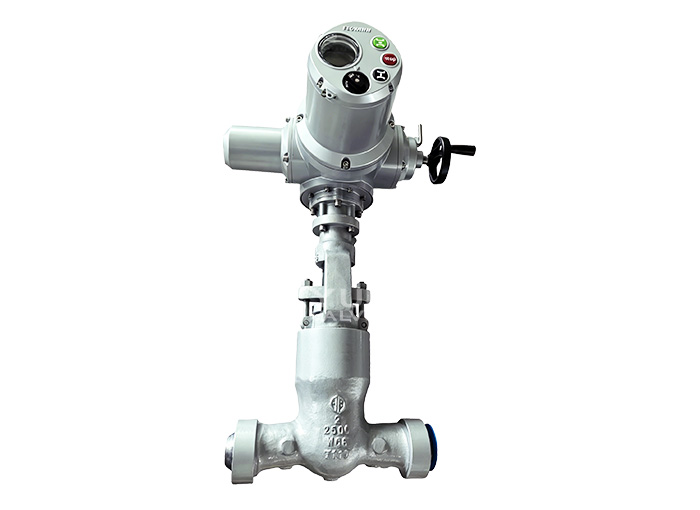 AP| 600 OS&Y Power station Gate Valve